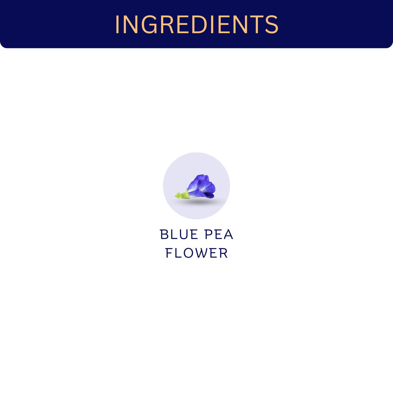 Blue Pea Flower