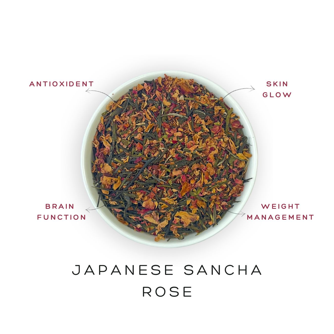 Japanese Sancha Rose